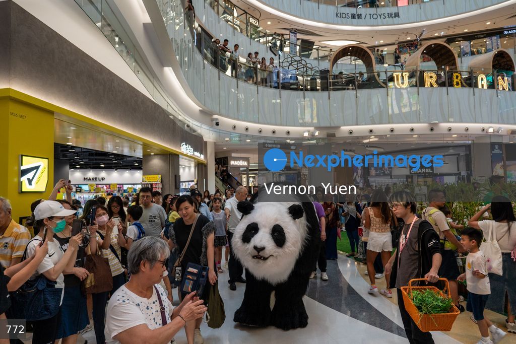Hong Kong Daily Life