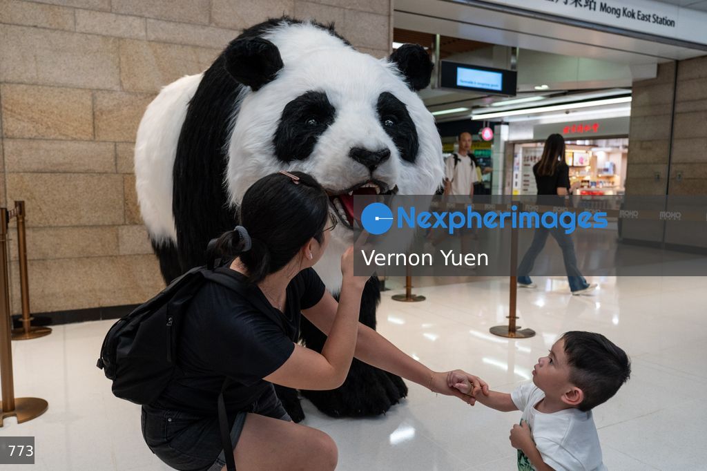 Hong Kong Daily Life