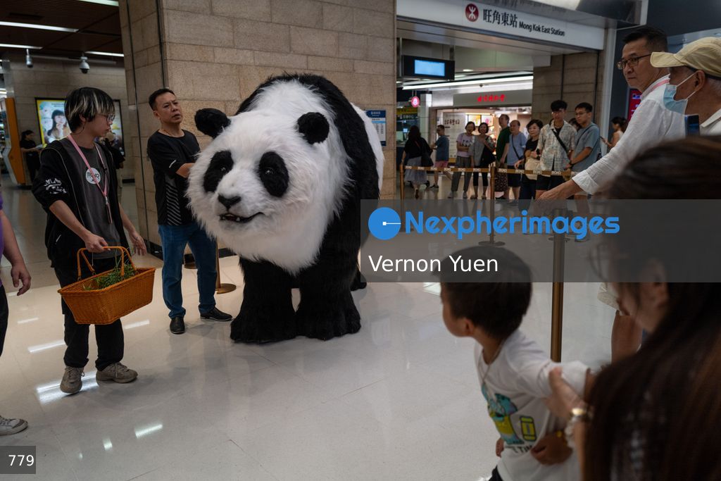 Hong Kong Daily Life