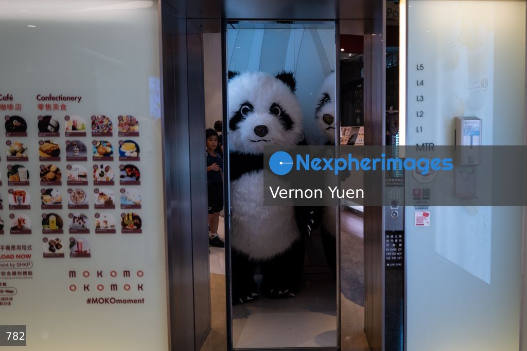 Hong Kong Daily Life