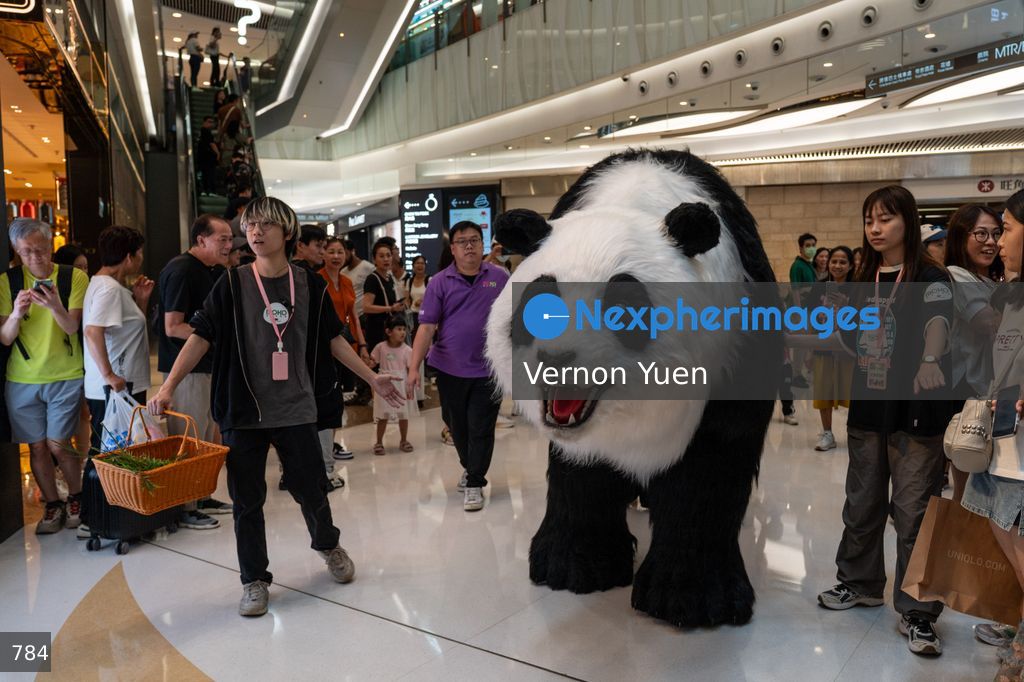 Hong Kong Daily Life