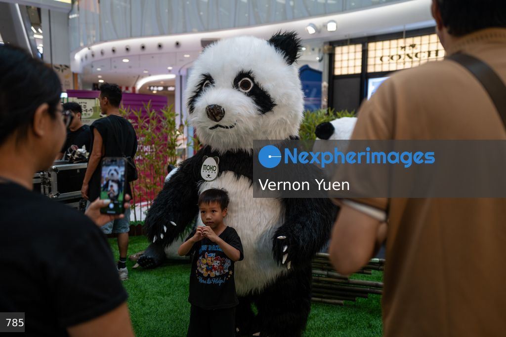 Hong Kong Daily Life