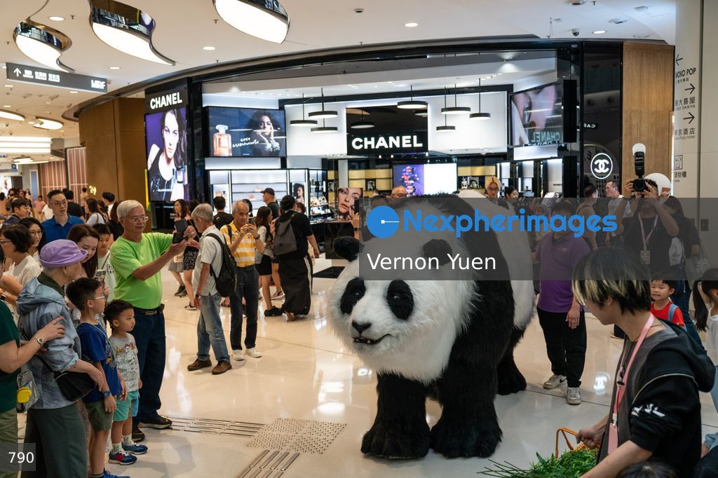Hong Kong Daily Life