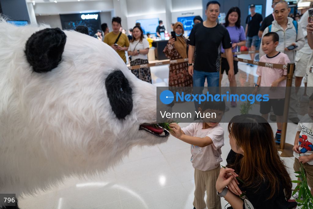 Hong Kong Daily Life