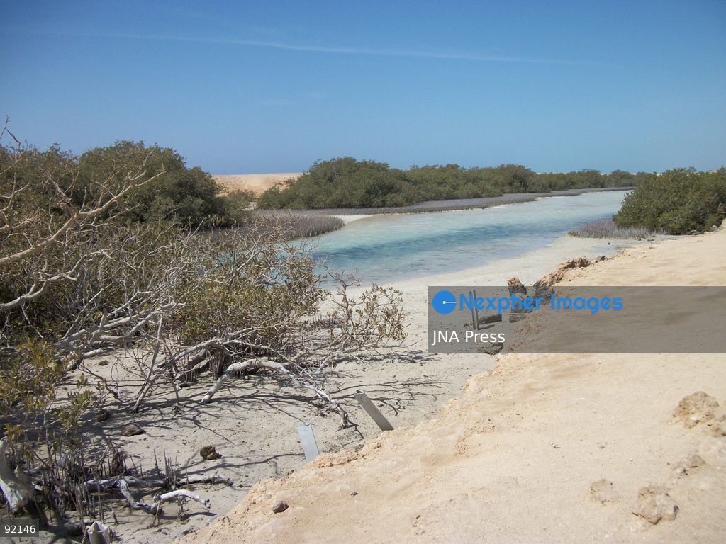 SOUTH SINAI, EGYPT, SEPTEMBER 14, 2026: Desert landscapes and coastal cliffs are seen at Ras Muhammad National Park in South Sinai, Egypt. Located at the southern tip of the Sinai Peninsula, the protected area encompasses desert and marine ecosystems along the Red Sea. Photo by Mahmoud Elshorbagy / JNA Press. (Photo by Mahmoud H. Elshorbagy/JNA Press via Nexpher Images)