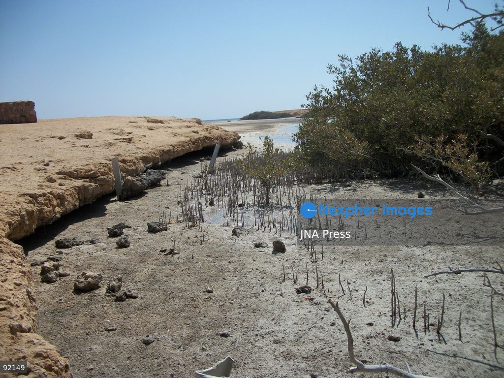 SOUTH SINAI, EGYPT, SEPTEMBER 14, 2026: Desert landscapes and coastal cliffs are seen at Ras Muhammad National Park in South Sinai, Egypt. Located at the southern tip of the Sinai Peninsula, the protected area encompasses desert and marine ecosystems along the Red Sea. Photo by Mahmoud Elshorbagy / JNA Press. (Photo by Mahmoud H. Elshorbagy/JNA Press via Nexpher Images)