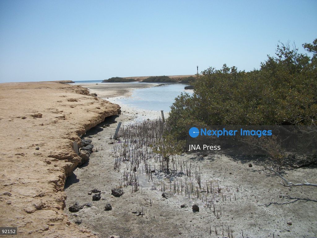 SOUTH SINAI, EGYPT, SEPTEMBER 14, 2026: Desert landscapes and coastal cliffs are seen at Ras Muhammad National Park in South Sinai, Egypt. Located at the southern tip of the Sinai Peninsula, the protected area encompasses desert and marine ecosystems along the Red Sea. Photo by Mahmoud Elshorbagy / JNA Press. (Photo by Mahmoud H. Elshorbagy/JNA Press via Nexpher Images)