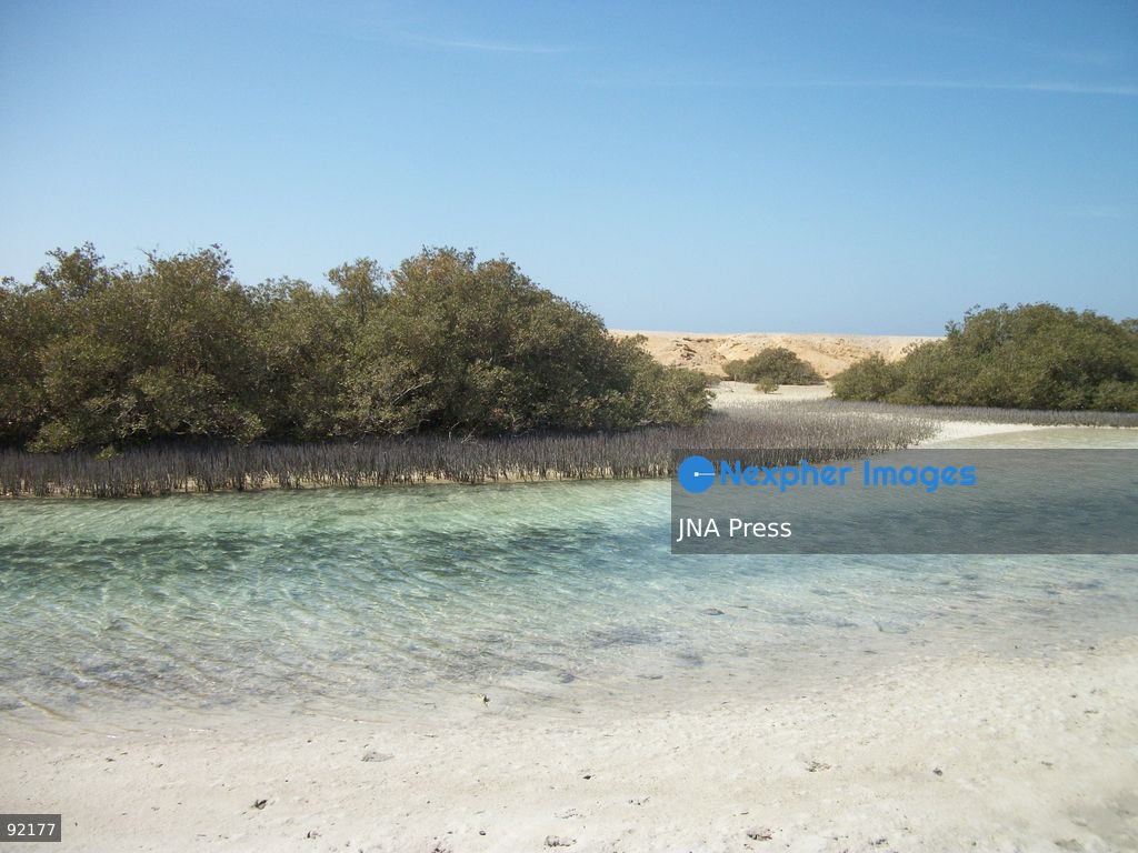 SOUTH SINAI, EGYPT, SEPTEMBER 14, 2026: Desert landscapes and coastal cliffs are seen at Ras Muhammad National Park in South Sinai, Egypt. Located at the southern tip of the Sinai Peninsula, the protected area encompasses desert and marine ecosystems along the Red Sea. Photo by Mahmoud Elshorbagy / JNA Press. (Photo by Mahmoud H. Elshorbagy/JNA Press via Nexpher Images)