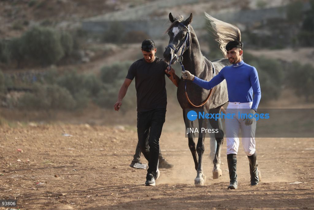 AL-MAJD, HEBRON, OCCUPIED WEST BANK, SEPTEMBER 18, 2026: Palestinian riders compete in a race featuring purebred Arabian horses in the village of Al-Majd, near Dura, south of Hebron, as local equestrian activities resume following a suspension during the war in Gaza. Photo by Mosab Shawer / JNA Press. (Photo by Mosab shawer/JNA Press via Nexpher Images)