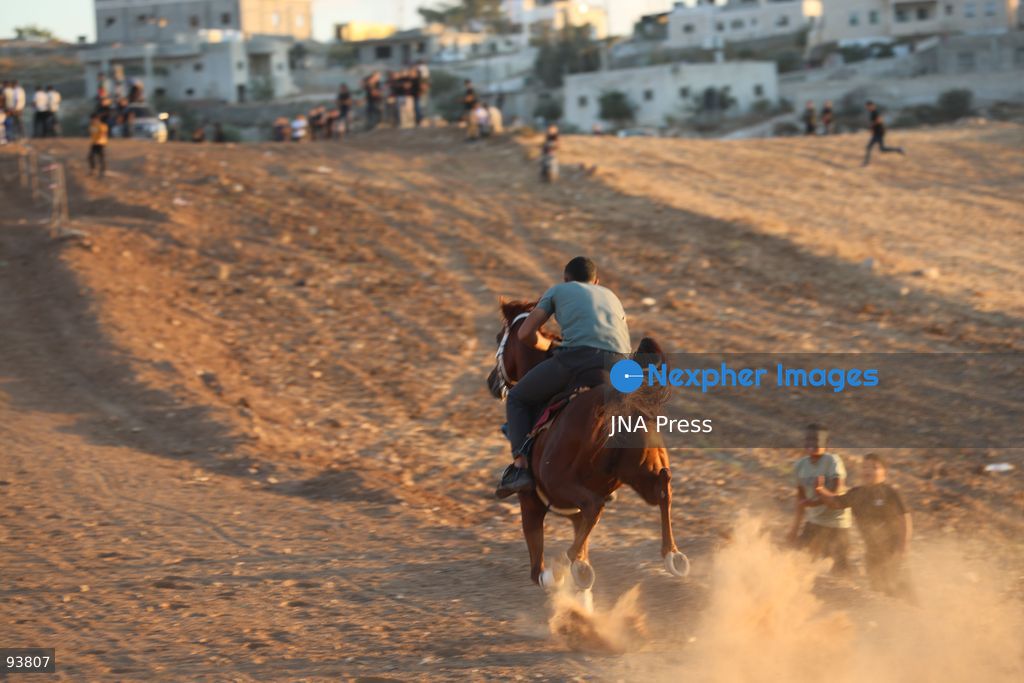 AL-MAJD, HEBRON, OCCUPIED WEST BANK, SEPTEMBER 18, 2026: Palestinian riders compete in a race featuring purebred Arabian horses in the village of Al-Majd, near Dura, south of Hebron, as local equestrian activities resume following a suspension during the war in Gaza. Photo by Mosab Shawer / JNA Press. (Photo by Mosab shawer/JNA Press via Nexpher Images)