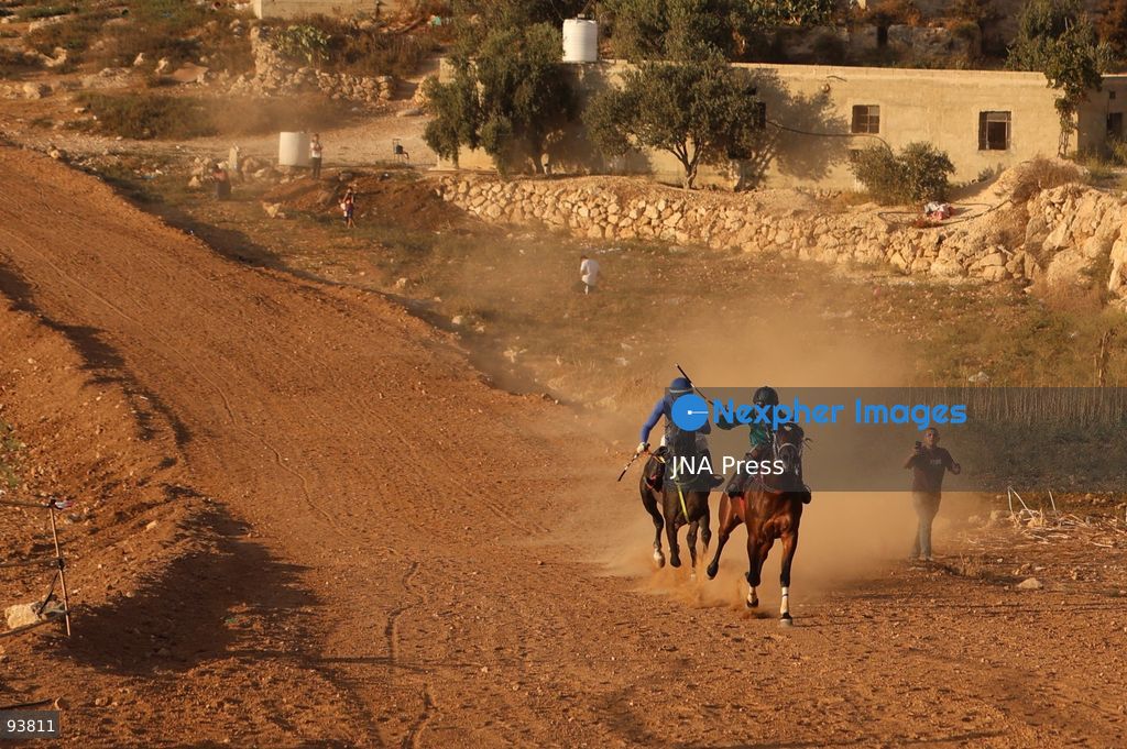 AL-MAJD, HEBRON, OCCUPIED WEST BANK, SEPTEMBER 18, 2026: Palestinian riders compete in a race featuring purebred Arabian horses in the village of Al-Majd, near Dura, south of Hebron, as local equestrian activities resume following a suspension during the war in Gaza. Photo by Mosab Shawer / JNA Press. (Photo by Mosab shawer/JNA Press via Nexpher Images)