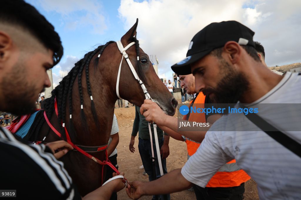 AL-MAJD, HEBRON, OCCUPIED WEST BANK, SEPTEMBER 18, 2026: Palestinian riders compete in a race featuring purebred Arabian horses in the village of Al-Majd, near Dura, south of Hebron, as local equestrian activities resume following a suspension during the war in Gaza. Photo by Mosab Shawer / JNA Press. (Photo by Mosab shawer/JNA Press via Nexpher Images)
