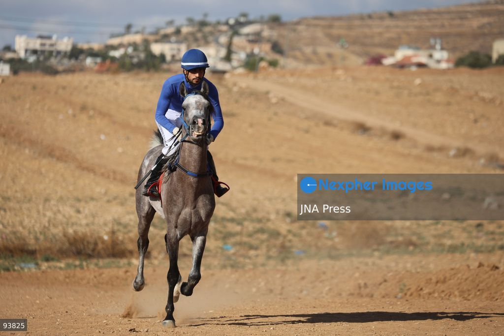 AL-MAJD, HEBRON, OCCUPIED WEST BANK, SEPTEMBER 18, 2026: Palestinian riders compete in a race featuring purebred Arabian horses in the village of Al-Majd, near Dura, south of Hebron, as local equestrian activities resume following a suspension during the war in Gaza. Photo by Mosab Shawer / JNA Press. (Photo by Mosab shawer/JNA Press via Nexpher Images)