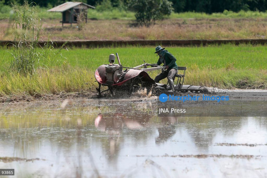 NAKHON SAWAN, THAILAND, SEPTEMBER 18, 2026: A fruit vendor waits for customers at a fresh market in Nakhon Sawan province, north of Bangkok. Photo by Chaiwat Subprasom/ JNA Press. (Photo by Chaiwat Subprasom/JNA Press via Nexpher Images)