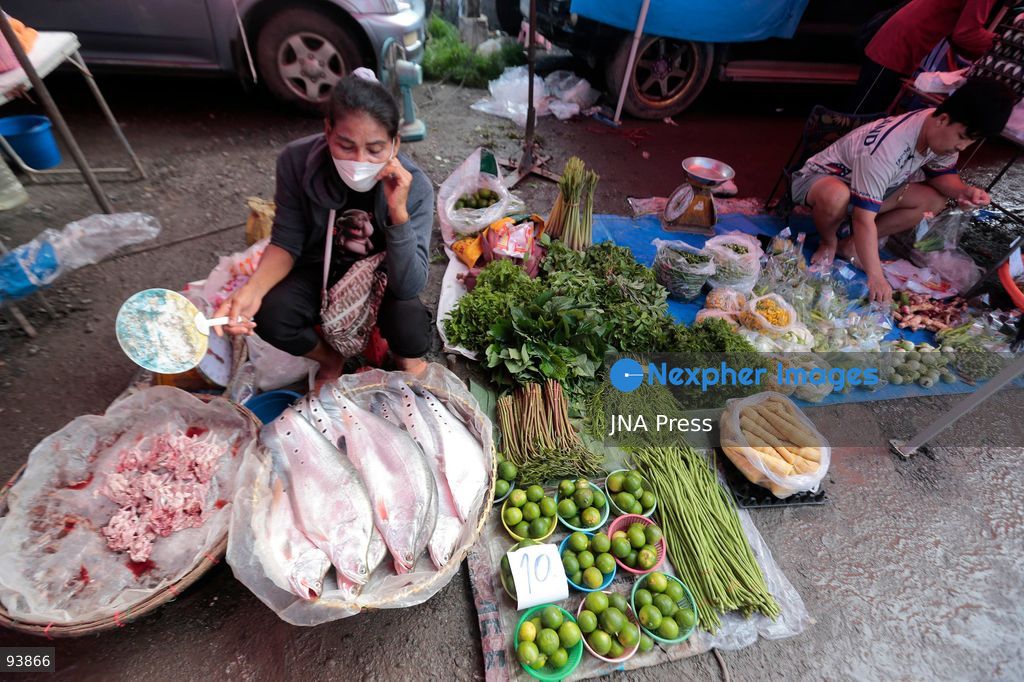 NAKHON SAWAN, THAILAND, SEPTEMBER 18, 2026: A fruit vendor waits for customers at a fresh market in Nakhon Sawan province, north of Bangkok. Photo by Chaiwat Subprasom/ JNA Press. (Photo by Chaiwat Subprasom/JNA Press via Nexpher Images)