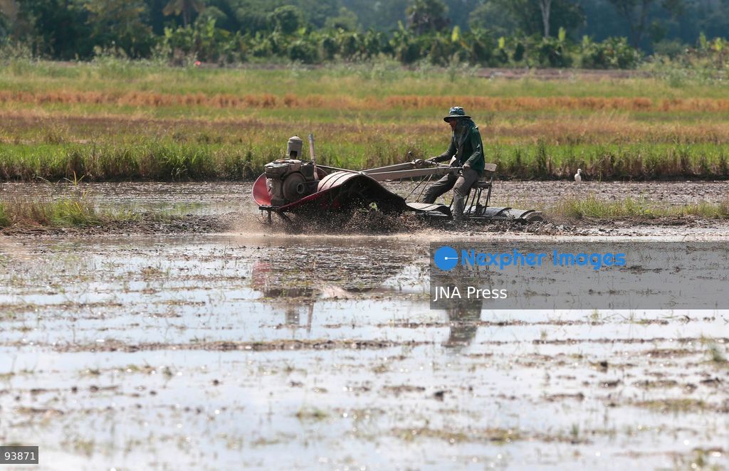 NAKHON SAWAN, THAILAND, SEPTEMBER 18, 2026: A fruit vendor waits for customers at a fresh market in Nakhon Sawan province, north of Bangkok. Photo by Chaiwat Subprasom/ JNA Press. (Photo by Chaiwat Subprasom/JNA Press via Nexpher Images)