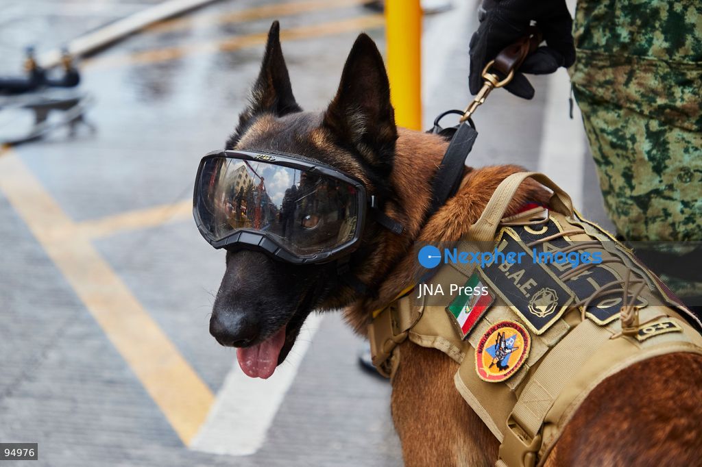 MEXICO CITY, MEXICO, SEPTEMBER 19, 2026: Emergency personnel take part in Mexico’s Second National Drill near the Monument to the Revolution in Mexico City, held on the anniversary of the devastating earthquakes of September 19, 1985 and 2017. The exercise simulated a major earthquake and included search-and-rescue operations, emergency evacuations and coordinated responses by local and federal authorities as part of efforts to strengthen disaster preparedness. Photo by Juan Pérez / JNA Press. (Photo by Juan Perez Puente/JNA Press via Nexpher Images)