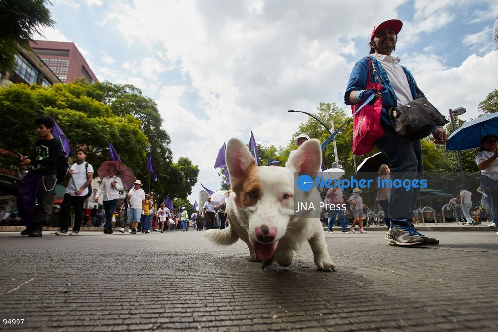 MEXICO CITY, MEXICO, SEPTEMBER 19, 2026: Members of social and housing organizations march in Mexico City as the capital commemorates the earthquakes of September 19, 1985 and 2017. Demonstrators called for an emergency housing plan and faster administrative procedures for land acquisition and social housing projects aimed at low-income families. Housing groups say bureaucratic delays continue to obstruct projects and access to affordable housing in the capital. Photo by Juan Pérez / JNA Press. (Photo by Juan Perez Puente/JNA Press via Nexpher Images)