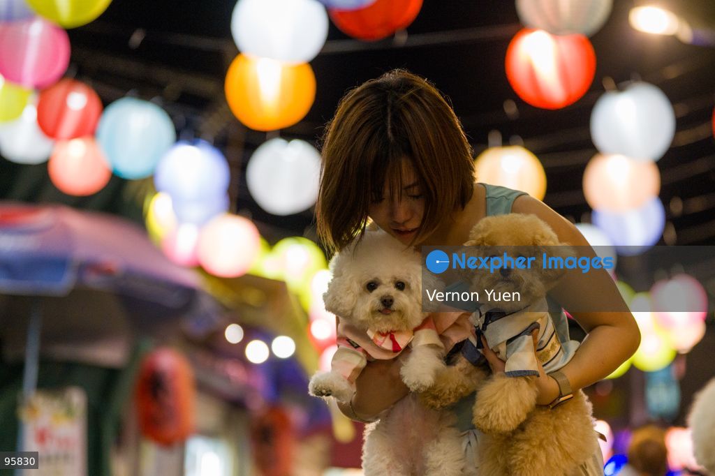 A woman holding two dogs in front of the Mid autumn festival lights at Shek O on September 23, 2026 in Hong Kong. (Photo by Vernon Yuen/Nexpher Images)