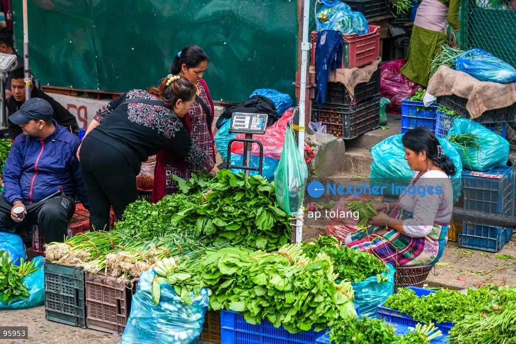 KATHMANDU, NEPAL —September 23, 2026: Farmers sell fresh, locally grown vegetables at the Kalimati Vegetable Market in Kathmandu, Nepal. Farmers bring fresh seasonal produce to the market, supplying vegetables to consumers and traders in Nepal’s capital, Kathmandu. (Photo by ap tolang/Nexpher Images)