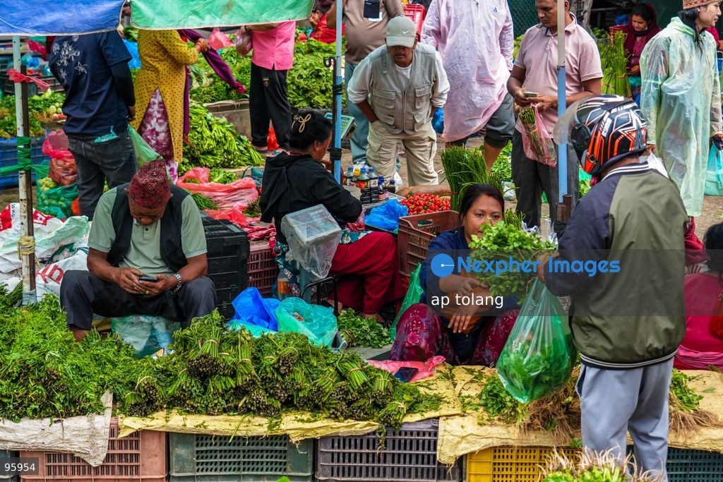 KATHMANDU, NEPAL —September 23, 2026: Farmers sell fresh, locally grown vegetables at the Kalimati Vegetable Market in Kathmandu, Nepal. Farmers bring fresh seasonal produce to the market, supplying vegetables to consumers and traders in Nepal’s capital, Kathmandu. (Photo by ap tolang/Nexpher Images)