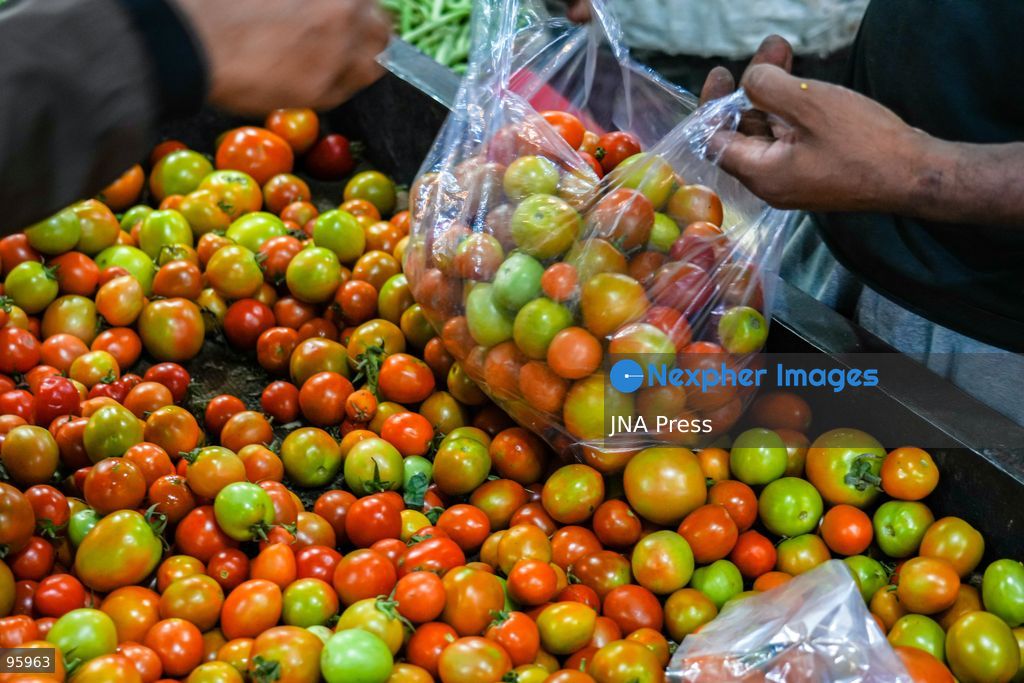 KATHMANDU, NEPAL, SEPTEMBER 23, 2026: Farmers and vendors sell locally grown vegetables at the Kalimati Fruit and Vegetable Market in Kathmandu. Fresh seasonal produce is brought to the market for sale to consumers and traders, supplying one of the Nepalese capital’s major wholesale and retail produce hubs. Photo by Ambir Tolang / JNA Press. (Photo by Ambir Tolang/JNA Press via Nexpher Images)