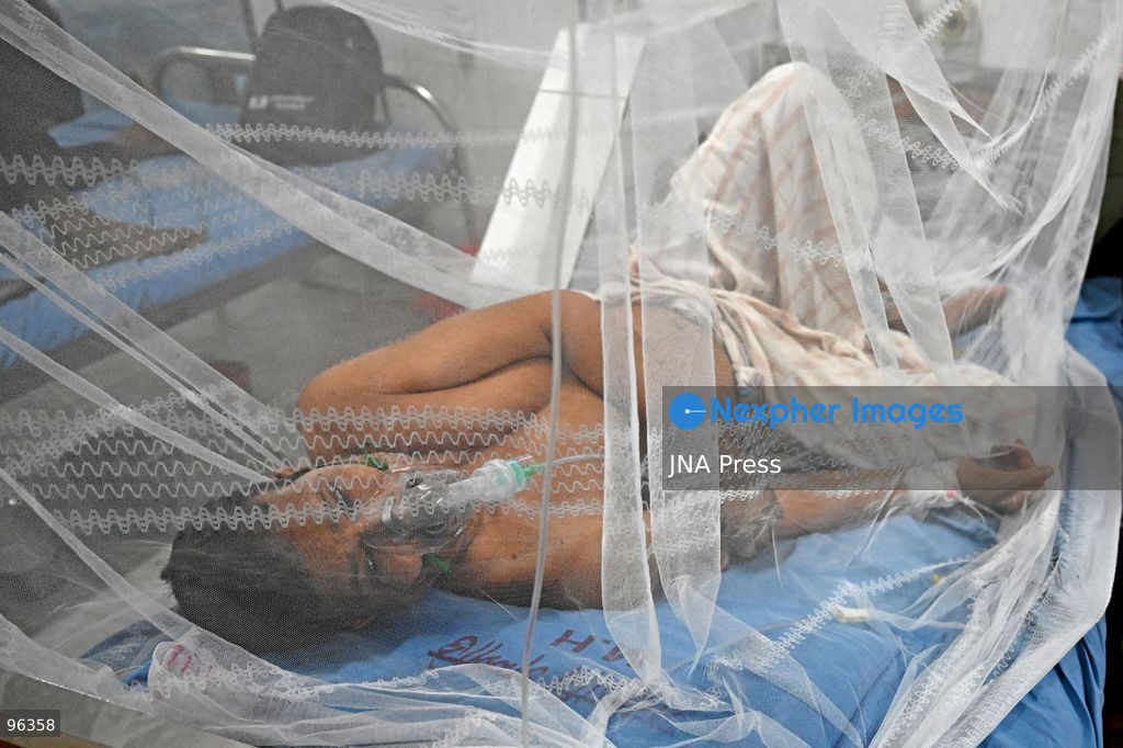 DHAKA, BANGLADESH, SEPTEMBER 24, 2026: Dengue patients receive treatment under mosquito nets at Sir Salimullah Medical College Mitford Hospital in Dhaka as Bangladesh experiences a sharp rise in infections. According to the Directorate General of Health Services, 69,149 dengue patients have been hospitalized nationwide since the beginning of 2026, with 209 deaths recorded as of September 24. Health authorities reported 1,782 new hospital admissions and eight deaths during the latest 24-hour reporting period. Photo by Mamuner Rashid/ JNA Press. (Photo by Mamunur Rashid/JNA Press via Nexpher Images)