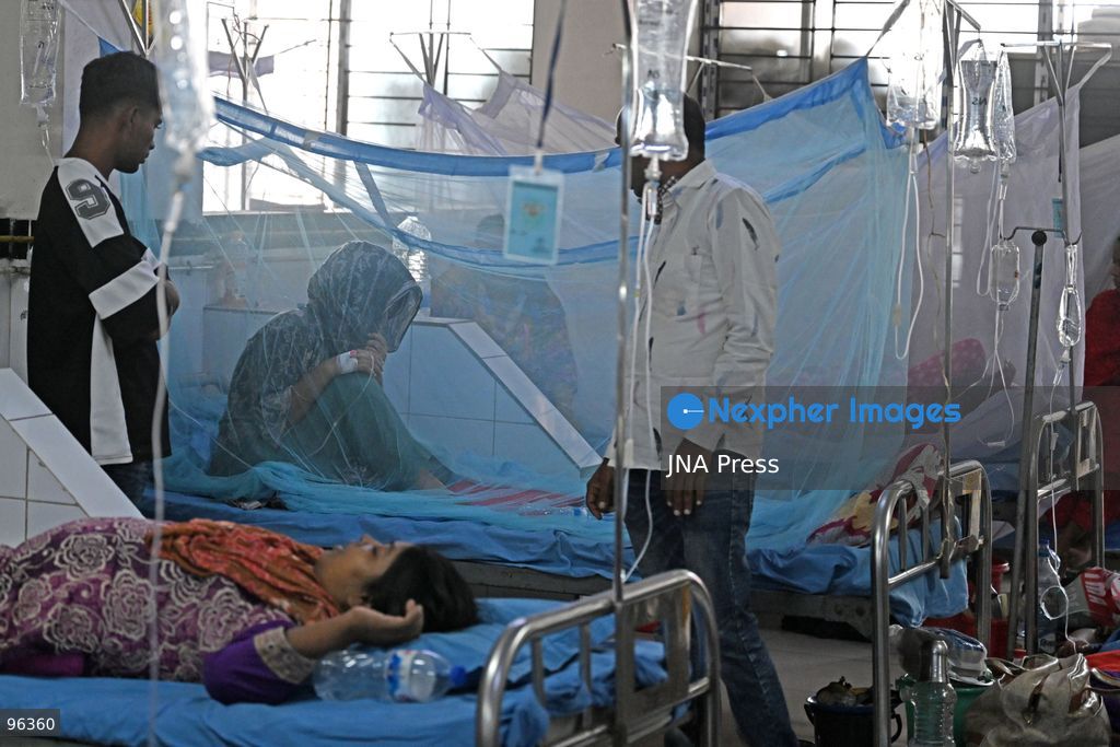 DHAKA, BANGLADESH, SEPTEMBER 24, 2026: Dengue patients receive treatment under mosquito nets at Sir Salimullah Medical College Mitford Hospital in Dhaka as Bangladesh experiences a sharp rise in infections. According to the Directorate General of Health Services, 69,149 dengue patients have been hospitalized nationwide since the beginning of 2026, with 209 deaths recorded as of September 24. Health authorities reported 1,782 new hospital admissions and eight deaths during the latest 24-hour reporting period. Photo by Mamuner Rashid/ JNA Press. (Photo by Mamunur Rashid/JNA Press via Nexpher Images)