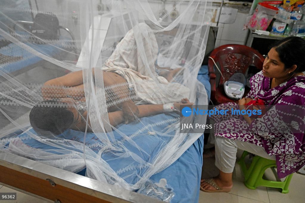 DHAKA, BANGLADESH, SEPTEMBER 24, 2026: Dengue patients receive treatment under mosquito nets at Sir Salimullah Medical College Mitford Hospital in Dhaka as Bangladesh experiences a sharp rise in infections. According to the Directorate General of Health Services, 69,149 dengue patients have been hospitalized nationwide since the beginning of 2026, with 209 deaths recorded as of September 24. Health authorities reported 1,782 new hospital admissions and eight deaths during the latest 24-hour reporting period. Photo by Mamuner Rashid/ JNA Press. (Photo by Mamunur Rashid/JNA Press via Nexpher Images)