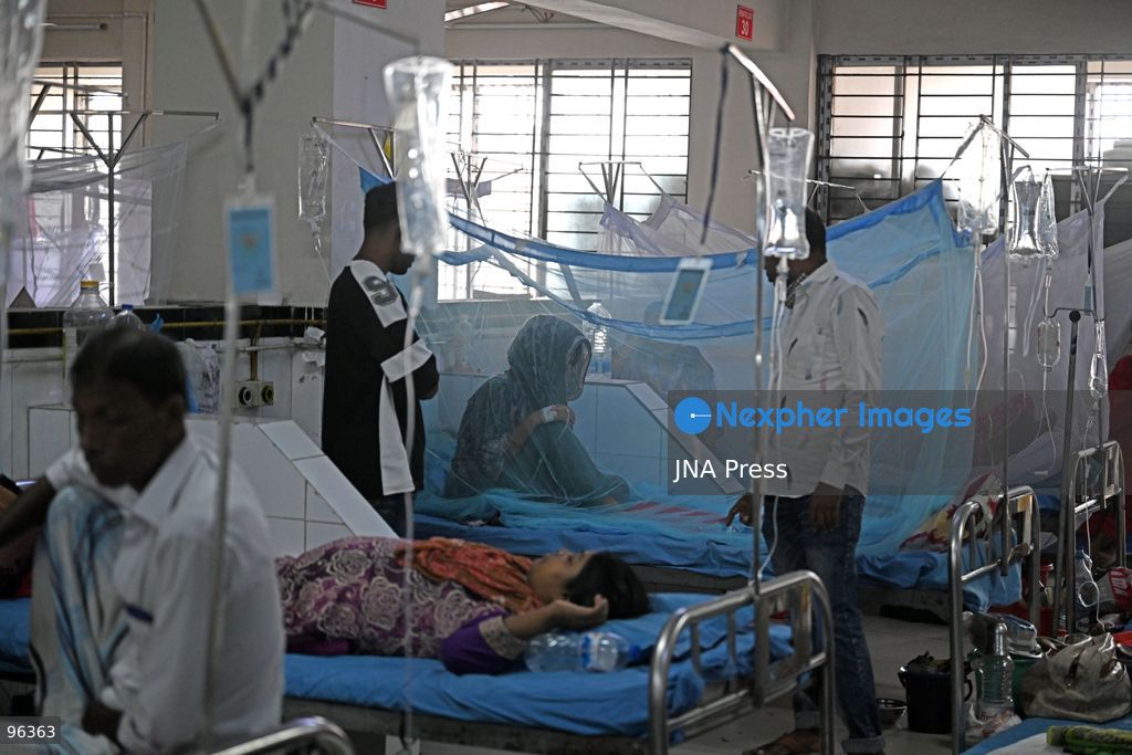DHAKA, BANGLADESH, SEPTEMBER 24, 2026: Dengue patients receive treatment under mosquito nets at Sir Salimullah Medical College Mitford Hospital in Dhaka as Bangladesh experiences a sharp rise in infections. According to the Directorate General of Health Services, 69,149 dengue patients have been hospitalized nationwide since the beginning of 2026, with 209 deaths recorded as of September 24. Health authorities reported 1,782 new hospital admissions and eight deaths during the latest 24-hour reporting period. Photo by Mamuner Rashid/ JNA Press. (Photo by Mamunur Rashid/JNA Press via Nexpher Images)