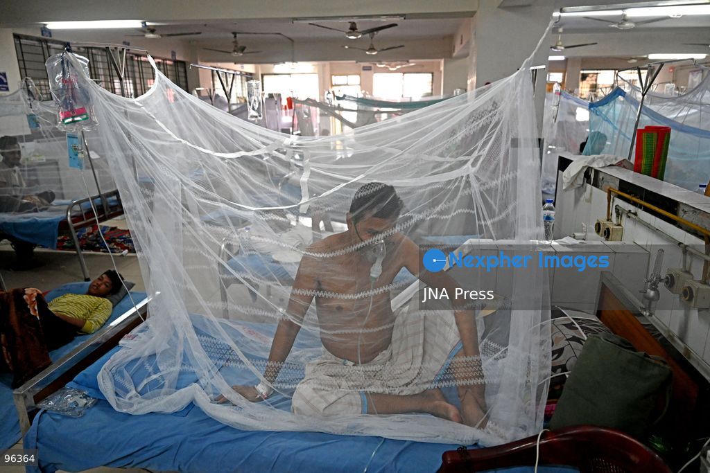 DHAKA, BANGLADESH, SEPTEMBER 24, 2026: Dengue patients receive treatment under mosquito nets at Sir Salimullah Medical College Mitford Hospital in Dhaka as Bangladesh experiences a sharp rise in infections. According to the Directorate General of Health Services, 69,149 dengue patients have been hospitalized nationwide since the beginning of 2026, with 209 deaths recorded as of September 24. Health authorities reported 1,782 new hospital admissions and eight deaths during the latest 24-hour reporting period. Photo by Mamuner Rashid/ JNA Press. (Photo by Mamunur Rashid/JNA Press via Nexpher Images)