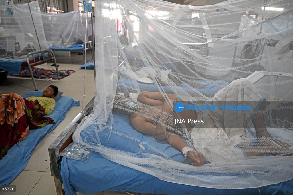 DHAKA, BANGLADESH, SEPTEMBER 24, 2026: Dengue patients receive treatment under mosquito nets at Sir Salimullah Medical College Mitford Hospital in Dhaka as Bangladesh experiences a sharp rise in infections. According to the Directorate General of Health Services, 69,149 dengue patients have been hospitalized nationwide since the beginning of 2026, with 209 deaths recorded as of September 24. Health authorities reported 1,782 new hospital admissions and eight deaths during the latest 24-hour reporting period. Photo by Mamuner Rashid/ JNA Press. (Photo by Mamunur Rashid/JNA Press via Nexpher Images)