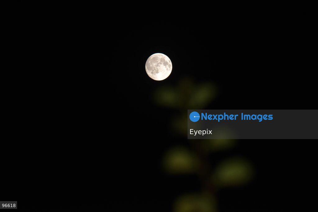 The Harvest Moon rises over Srinagar. The September full moon, traditionally known as the Harvest Moon, is seen illuminating the sky over the summer capital of Jammu and Kashmir. on September 25, 2026 in Srinagar, India. (Photo by Danish Showkat/ Eyepix Group) (Photo by Danish Showkat/ Eyepix Group/Eyepix via Nexpher Images)