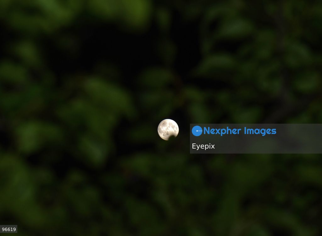 The Harvest Moon rises over Srinagar. The September full moon, traditionally known as the Harvest Moon, is seen illuminating the sky over the summer capital of Jammu and Kashmir. on September 25, 2026 in Srinagar, India. (Photo by Danish Showkat/ Eyepix Group) (Photo by Danish Showkat/ Eyepix Group/Eyepix via Nexpher Images)