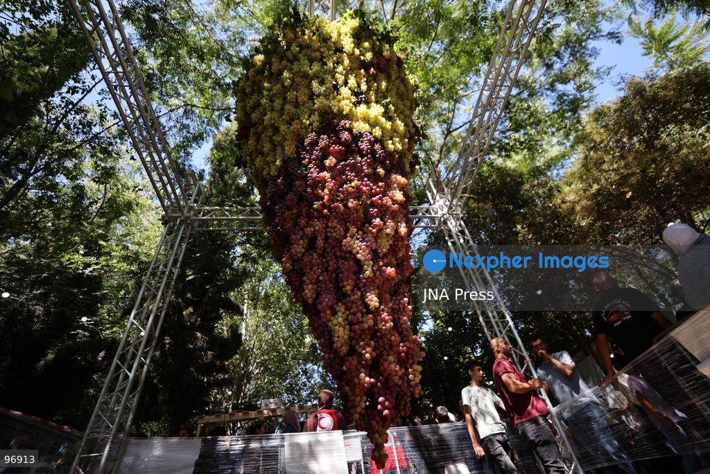 HEBRON, OCCUPIED WEST BANK, SEPTEMBER 26, 2026: Palestinian visitors attend the opening of a grape market in the Old City of Hebron. Local farmers and producers display grapes and grape-based products during the event, highlighting a crop traditionally associated with agriculture in the Hebron area. Photo by Mosab Shawer / JNA Press. (Photo by Mosab shawer/JNA Press via Nexpher Images)