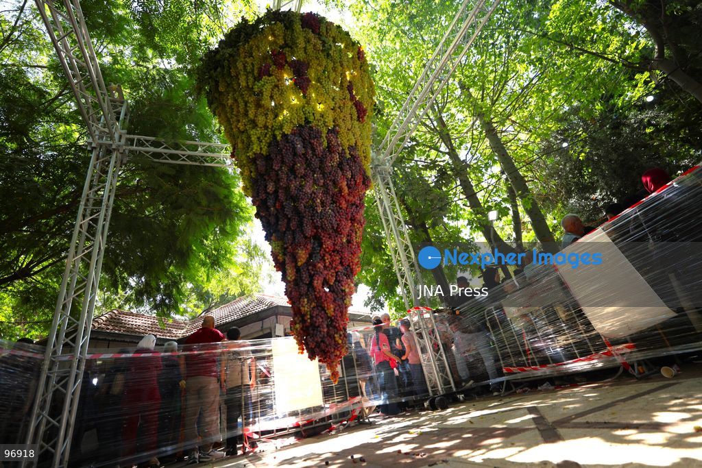 HEBRON, OCCUPIED WEST BANK, SEPTEMBER 26, 2026: Palestinian visitors attend the opening of a grape market in the Old City of Hebron. Local farmers and producers display grapes and grape-based products during the event, highlighting a crop traditionally associated with agriculture in the Hebron area. Photo by Mosab Shawer / JNA Press. (Photo by Mosab shawer/JNA Press via Nexpher Images)