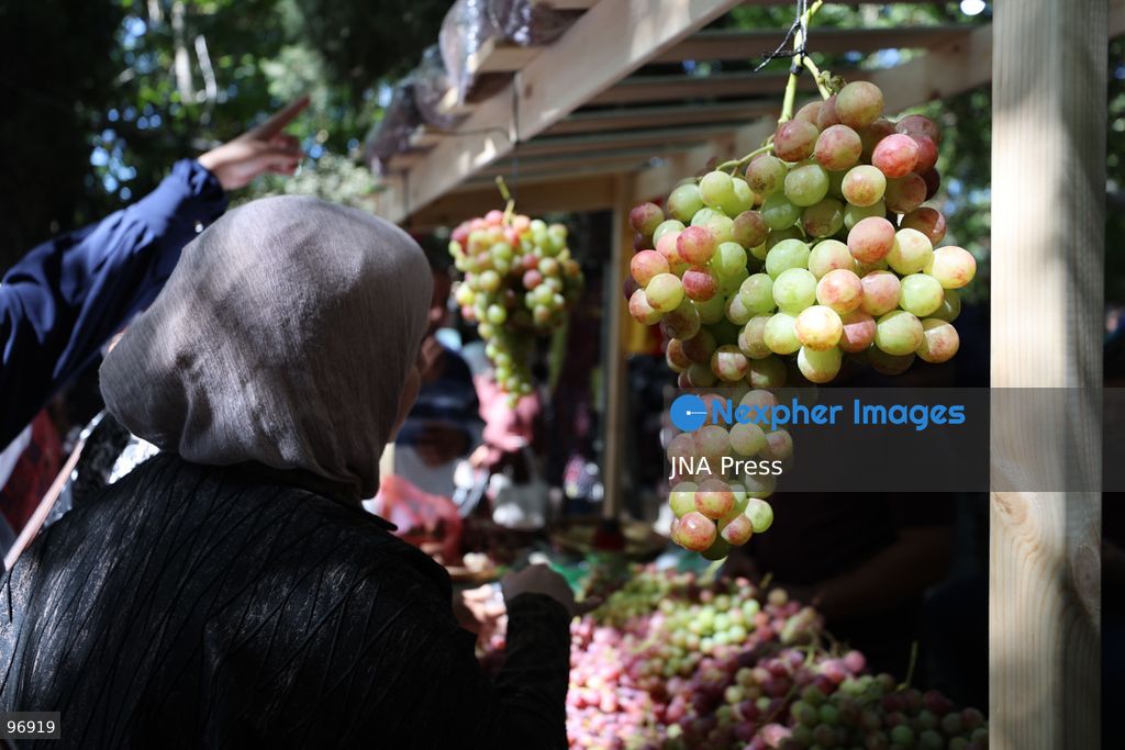 HEBRON, OCCUPIED WEST BANK, SEPTEMBER 26, 2026: Palestinian visitors attend the opening of a grape market in the Old City of Hebron. Local farmers and producers display grapes and grape-based products during the event, highlighting a crop traditionally associated with agriculture in the Hebron area. Photo by Mosab Shawer / JNA Press. (Photo by Mosab shawer/JNA Press via Nexpher Images)