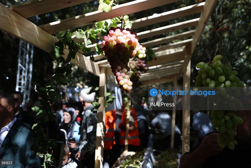 HEBRON, OCCUPIED WEST BANK, SEPTEMBER 26, 2026: Palestinian visitors attend the opening of a grape market in the Old City of Hebron. Local farmers and producers display grapes and grape-based products during the event, highlighting a crop traditionally associated with agriculture in the Hebron area. Photo by Mosab Shawer / JNA Press. (Photo by Mosab shawer/JNA Press via Nexpher Images)