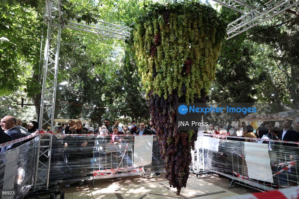 HEBRON, OCCUPIED WEST BANK, SEPTEMBER 26, 2026: Palestinian visitors attend the opening of a grape market in the Old City of Hebron. Local farmers and producers display grapes and grape-based products during the event, highlighting a crop traditionally associated with agriculture in the Hebron area. Photo by Mosab Shawer / JNA Press. (Photo by Mosab shawer/JNA Press via Nexpher Images)
