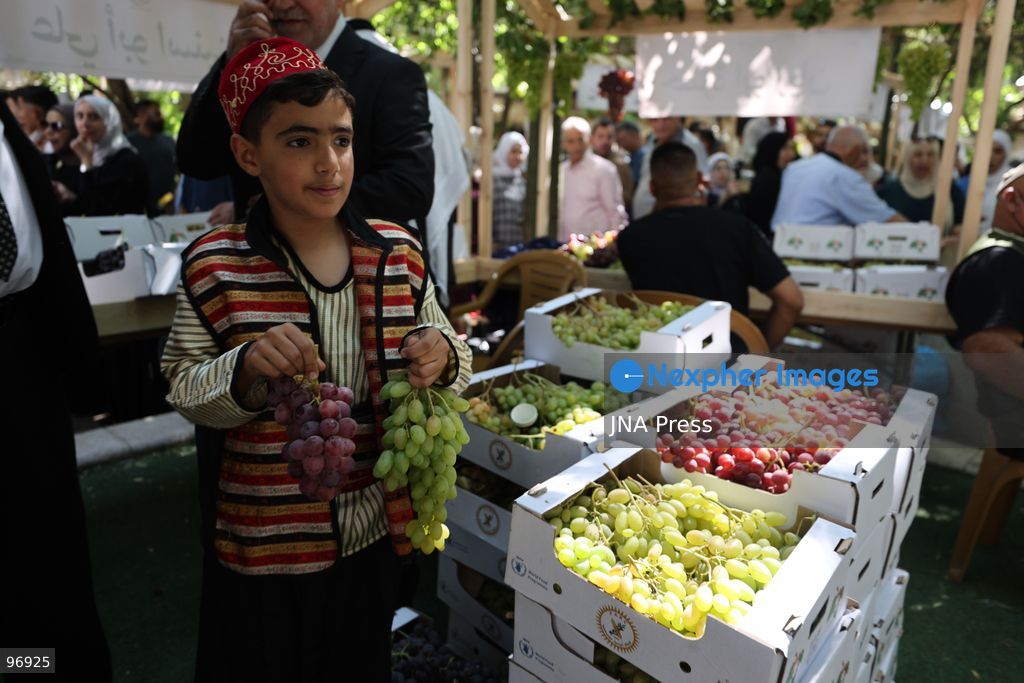 HEBRON, OCCUPIED WEST BANK, SEPTEMBER 26, 2026: Palestinian visitors attend the opening of a grape market in the Old City of Hebron. Local farmers and producers display grapes and grape-based products during the event, highlighting a crop traditionally associated with agriculture in the Hebron area. Photo by Mosab Shawer / JNA Press. (Photo by Mosab shawer/JNA Press via Nexpher Images)