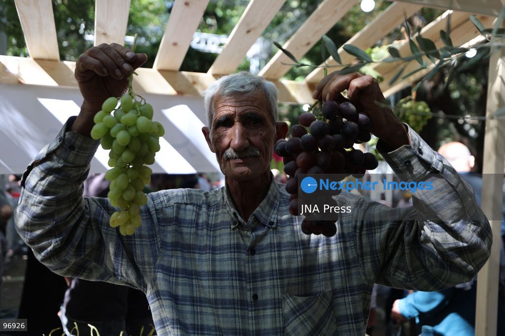 HEBRON, OCCUPIED WEST BANK, SEPTEMBER 26, 2026: Palestinian visitors attend the opening of a grape market in the Old City of Hebron. Local farmers and producers display grapes and grape-based products during the event, highlighting a crop traditionally associated with agriculture in the Hebron area. Photo by Mosab Shawer / JNA Press. (Photo by Mosab shawer/JNA Press via Nexpher Images)