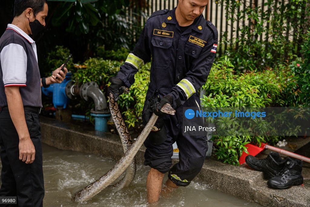 BANGKOK, THAILAND, SEPTEMBER 26, 2026: Residents navigate flooded streets amid persistent heavy rain in Bangkok, Thailand. Continuous rainfall since September 24 caused widespread flooding across the capital, with nearly 300 millimeters of rain recorded in some areas. Bangkok authorities declared all 50 districts disaster-affected as floodwaters disrupted roads and residential communities. More heavy rain was forecast through September 27. Photo by Watsawat Koktabtim (Photo by Watsawat Koktabtim/JNA Press via Nexpher Images)