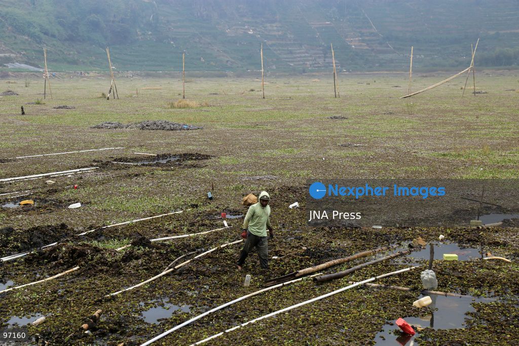 BANJARNEGARA, CENTRAL JAVA, INDONESIA, SEPTEMBER 26, 2026: Farmers use diesel-powered pumps and long hoses to draw water from Telaga Merdada for nearby farmland in Banjarnegara Regency, Central Java. The water level at the lake has dropped by approximately three meters over the past three months, increasing the need for farmers to pump water to irrigate agricultural land. Photo by Topen Anggara/ JNA Press. (Photo by Topen Anggara Saputra/JNA Press via Nexpher Images)