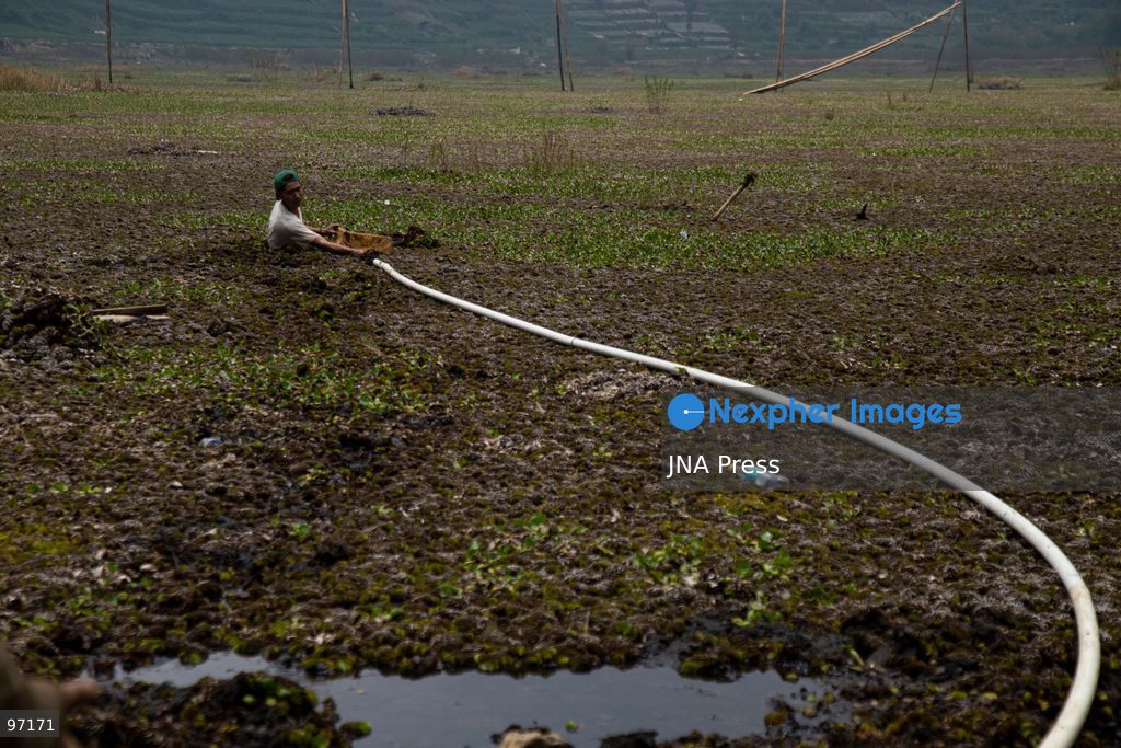 BANJARNEGARA, CENTRAL JAVA, INDONESIA, SEPTEMBER 26, 2026: Farmers use diesel-powered pumps and long hoses to draw water from Telaga Merdada for nearby farmland in Banjarnegara Regency, Central Java. The water level at the lake has dropped by approximately three meters over the past three months, increasing the need for farmers to pump water to irrigate agricultural land. Photo by Topen Anggara/ JNA Press. (Photo by Topen Anggara Saputra/JNA Press via Nexpher Images)