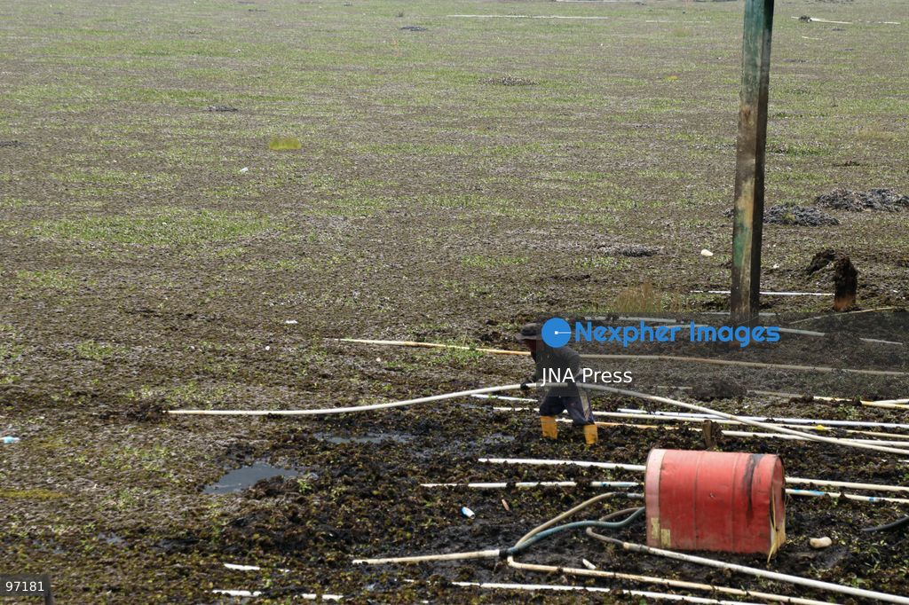 BANJARNEGARA, CENTRAL JAVA, INDONESIA, SEPTEMBER 26, 2026: Farmers use diesel-powered pumps and long hoses to draw water from Telaga Merdada for nearby farmland in Banjarnegara Regency, Central Java. The water level at the lake has dropped by approximately three meters over the past three months, increasing the need for farmers to pump water to irrigate agricultural land. Photo by Topen Anggara/ JNA Press. (Photo by Topen Anggara Saputra/JNA Press via Nexpher Images)