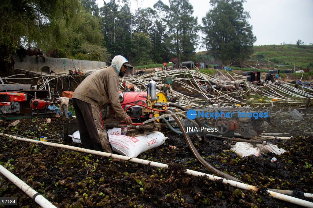 BANJARNEGARA, CENTRAL JAVA, INDONESIA, SEPTEMBER 26, 2026: Farmers use diesel-powered pumps and long hoses to draw water from Telaga Merdada for nearby farmland in Banjarnegara Regency, Central Java. The water level at the lake has dropped by approximately three meters over the past three months, increasing the need for farmers to pump water to irrigate agricultural land. Photo by Topen Anggara/ JNA Press. (Photo by Topen Anggara Saputra/JNA Press via Nexpher Images)