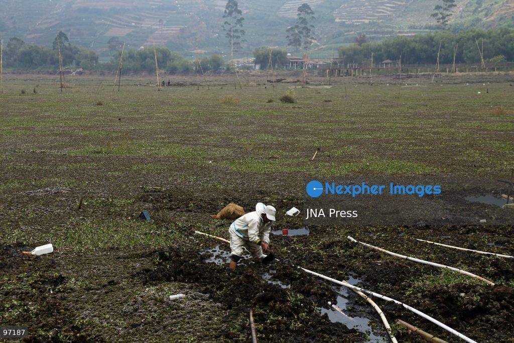 BANJARNEGARA, CENTRAL JAVA, INDONESIA, SEPTEMBER 26, 2026: Farmers use diesel-powered pumps and long hoses to draw water from Telaga Merdada for nearby farmland in Banjarnegara Regency, Central Java. The water level at the lake has dropped by approximately three meters over the past three months, increasing the need for farmers to pump water to irrigate agricultural land. Photo by Topen Anggara/ JNA Press. (Photo by Topen Anggara Saputra/JNA Press via Nexpher Images)