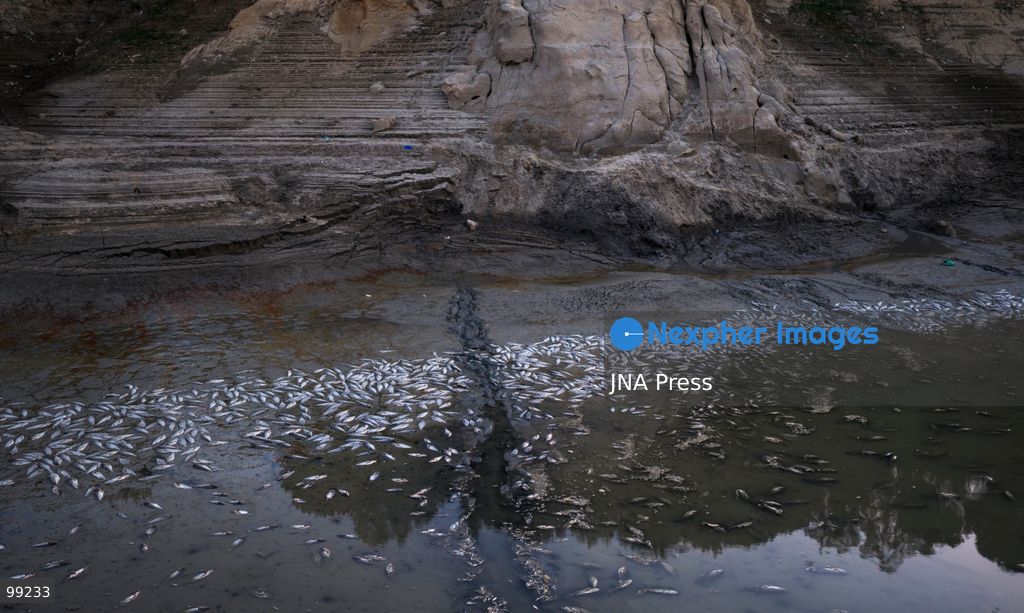KASHARAJ, LUSHNJE, ALBANIA, SEPTEMBER 29, 2026: Large numbers of dead fish are seen at the Kasharaj Reservoir near Lushnje after its water level was drastically lowered during rehabilitation works on the reservoir's main outlet. Local media reported that the reduced water level left fish stranded in shallow pools and mud, resulting in widespread mortality. The reservoir is used to supply water for agricultural irrigation in the surrounding area. No official assessment of the number or total weight of dead fish had been released at the time of reporting. Photo by Vlasov Sulaj / JNA Press. (Photo by Vlasov Sulaj/JNA Press via Nexpher Images)