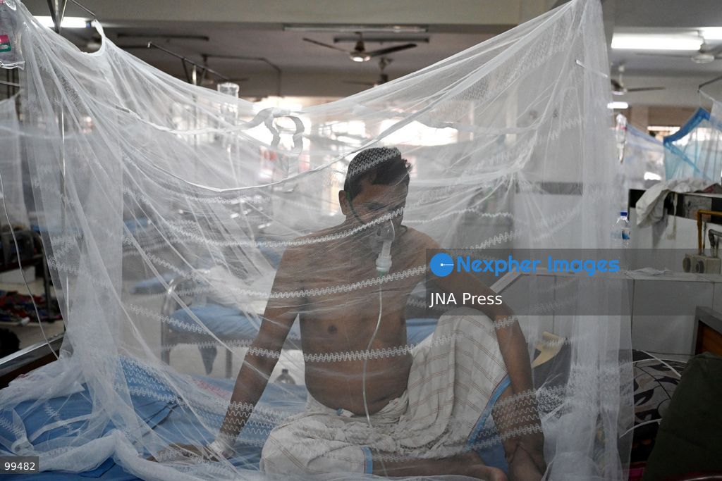 TOP PICS - DHAKA, BANGLADESH, SEPTEMBER 24, 2026: Dengue patients receive treatment under mosquito nets at Sir Salimullah Medical College Mitford Hospital in Dhaka as Bangladesh experiences a sharp rise in infections. According to the Directorate General of Health Services, 69,149 dengue patients have been hospitalized nationwide since the beginning of 2026, with 209 deaths recorded as of September 24. Health authorities reported 1,782 new hospital admissions and eight deaths during the latest 24-hour reporting period. Photo by Mamuner Rashid/ JNA Press. (Photo by Mamunur Rashid/JNA Press via Nexpher Images)